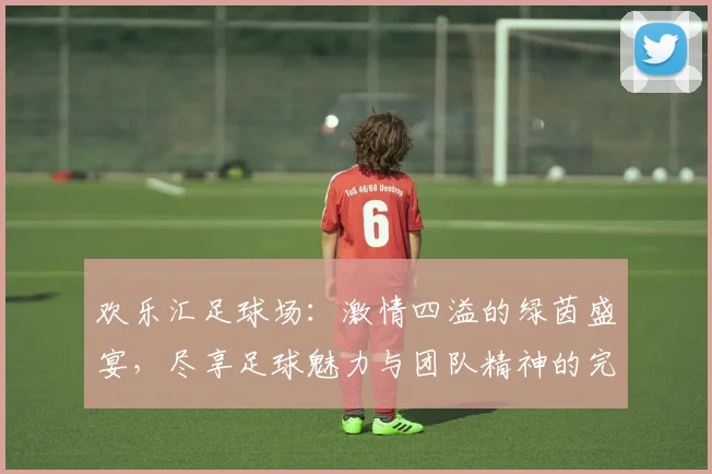 欢乐汇足球场：激情四溢的绿茵盛宴，尽享足球魅力与团队精神的完美结合
