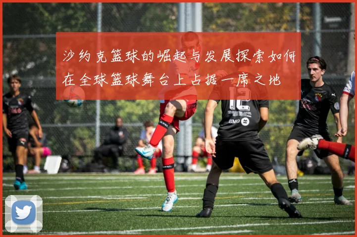 沙约克篮球的崛起与发展探索如何在全球篮球舞台上占据一席之地